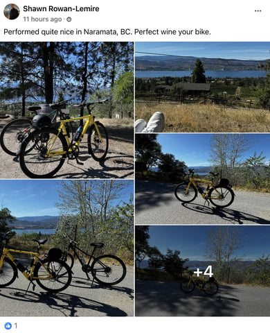 Gallery image gallery image